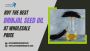 Buy the best brinjal seed oil at wholesale price