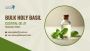 Buy Holy Basil Essential Oil in Bulk at Wholesale Prices