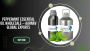Peppermint Essential Oil Wholesale – Aarnav Global Exports