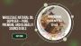 Wholesale Natural Oil Supplier – Pure, Premium, and Globally