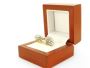 Find Your Sparkle with Moissanite Earrings by Poet Robson