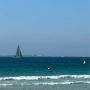 Best Places to Visit in the UAE – Your Ultimate Travel Guide