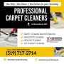 Professional Carpet Cleaners in Brantford
