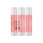 Buy Blush Shea Butter Natural Lip Balm Online Today