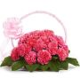 Buy Mothers Day Gifts under 500 Online via OyeGifts, Get Bes Buy Mothers Day Gifts under 500 Online via OyeGifts, Get Bes