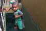 Anti Bird Nets Chennai