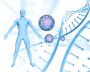 Revitalize Your Life with Cell Renewal Therapy