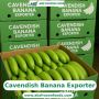 Golden Taste, Global Trust Premier Cavendish Banana Exporter
