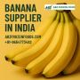 Quality You Can Trust – Premium Banana Supplier in India