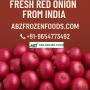 Trusted Exporter of Fresh Red Onion from India