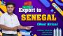 Transforming Senegal's Beverage Industry with India's Advanc