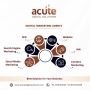 Elevate Your Brand with Digital Marketing Services in Pune