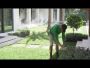 Mosquito System For Backyard