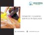Domestic Cleaning Services in Adelaide