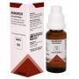 Homeopathy Medicine For Uric Acid  - Homeopathy Treatment