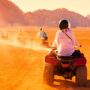 Morning Desert Safari Showing the Excellence of Nature.