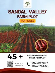 Own a Managed Farmland at Sandal Valley – Red Sandalwood Plo