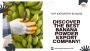 Top-Quality Dehydrated Banana Powder Exporter in India – Tru