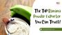 Dehydrated Banana Powder Exporter | Best Exporter Company