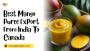 Premium Mango Pulp Export from India – Trusted Global Suppli