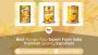 Best Mango Pulp Export From India | Top Food Exporter India