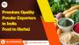 Premium Quality Powder Export From India