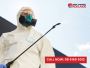Pest-Free Living: Davoren Park’s Top Pest Control Solutions