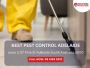 Protect Your Home from Termites in Adelaide | Expert Treatme