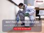  Pest Control Sturt – Comprehensive Pest Management
