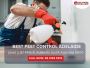 Pest Control North Adelaide – Effective Solutions for Pest 