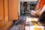 Termite Removal Cost in Adelaide – Termite Control