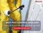 Expert Pest Exterminators in Adelaide – Your Local Solution