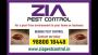 White Field Bed Bug Pest Control  Service | effective 