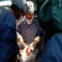 Best Laparoscopy Surgery in Gandhinagar