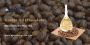 Castor Oil Ethoxylate Manufacturers Near You | Trusted Casto