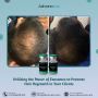 Utilizing the Power of Exosomes to Promote Hair Regrowth