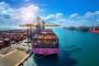 Affordable International Movers Abu Dhabi for Hassle-Free Mo