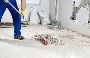 Builders Cleaning Auckland - 0800 233 464