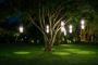 High-Quality Cobra Head Light Fixtures for Outdoor Lighting 