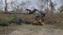 A Force of Nature Tree Service LLC 
