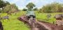Enjoy Endless Adventure with Budget Tanzania Safari Tours