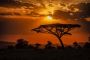 Highlights of Tanzania Safari Tour Packages: Africa Paradise