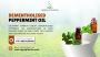 Certified Dementholised Peppermint Oil Manufacturer in India