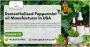 Dementholised Peppermint Oil Manufacturer in USA