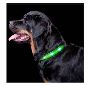Waterproof LED Dog Collar – Walk Safer at Night