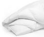 Protective Waterproof Mattress Encasement – Bed Bug & Spill 