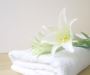 Buy Cam Border Bath Towel – Soft & Durable Hotel Towels