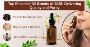 Looking for the best in essential oils?