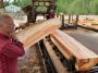 Your Trusted Guitar Wood Suppliers for Acoustic Tonewoods