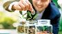 Explore High Return Saving Plans to Meet Your Life Goals